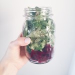 Instagram-Food-Diary 03/15 | Kathie's Cloud – www.kathiescloud.com