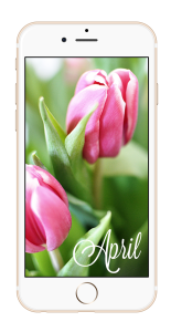 Wallpaper April 2015 | Kathie's Cloud