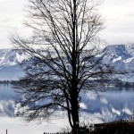 Wolfgangsee St. Gilgen Winter