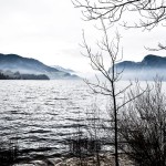 Mondsee View