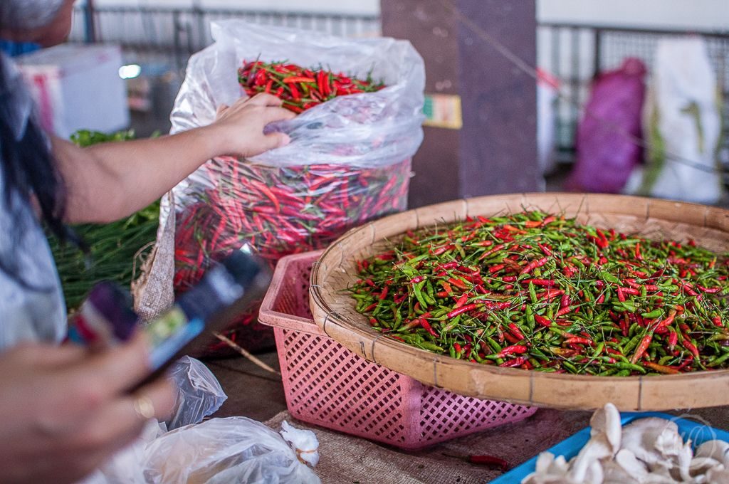 Veganer Thai-Kochkurs Chiang Mai