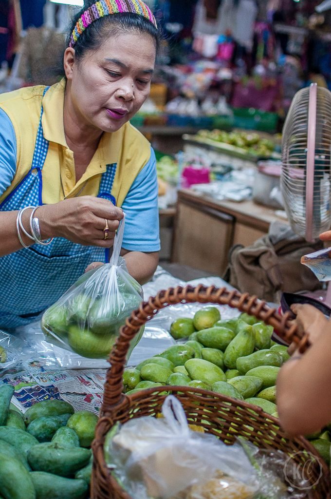 Veganer Thai-Kochkurs Chiang Mai