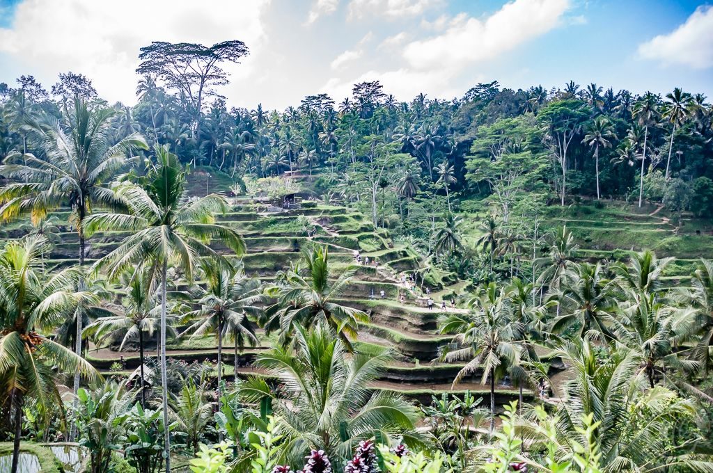 Ubud Bali