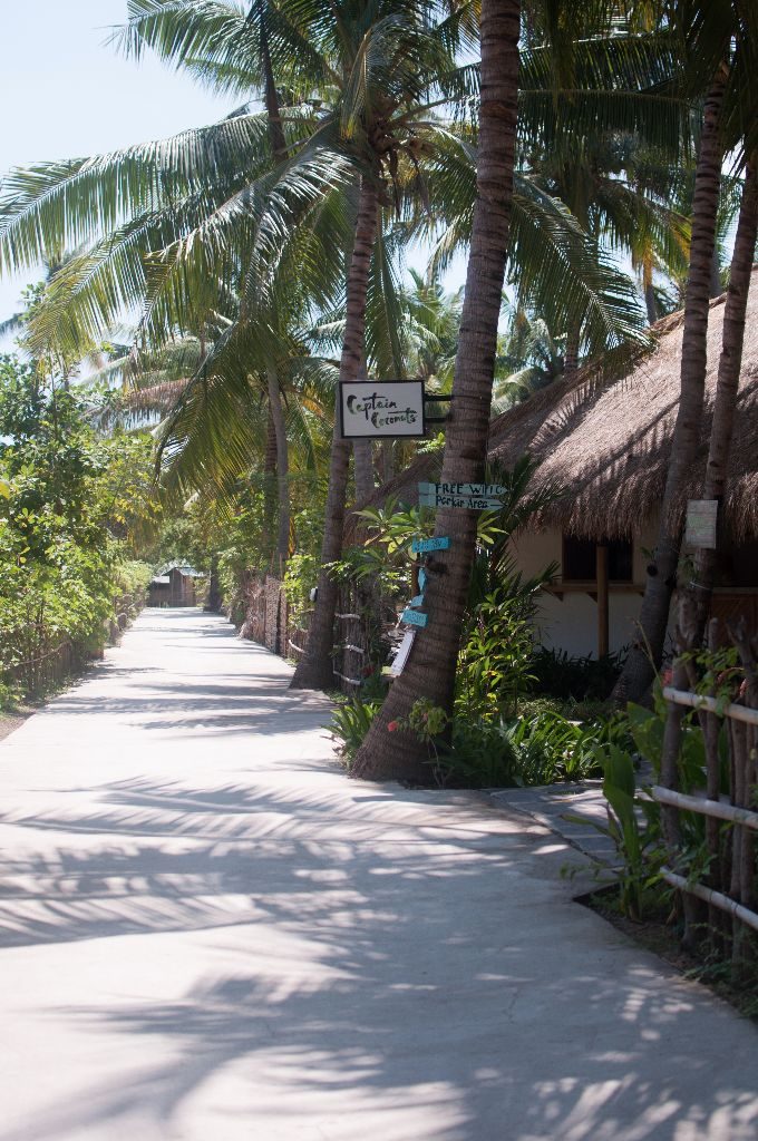 Vegan auf Gili Air Captain Coconuts