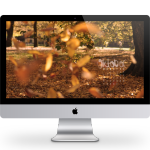 Wallpaper Herbst Fall 2014