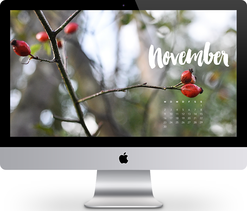 Wallpaper November 2015