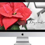 Wallpaper Dezember 2015 Freebie