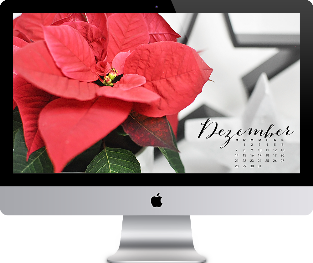 Wallpaper Dezember 2015 Freebie