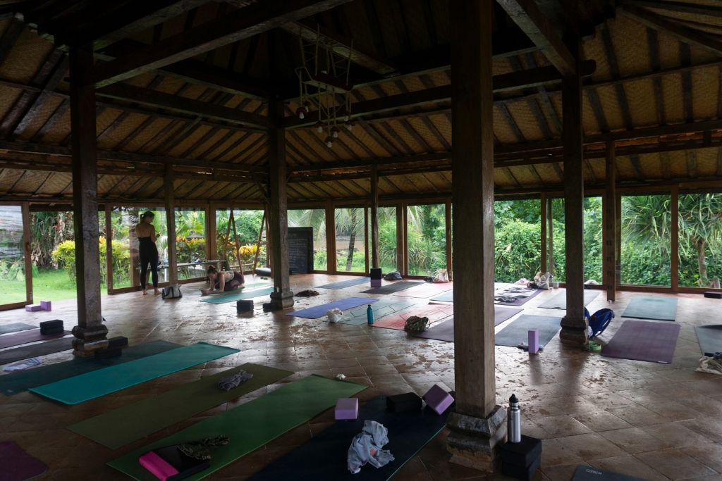 Yogalehrer-Ausbildung bei Meghan Currie